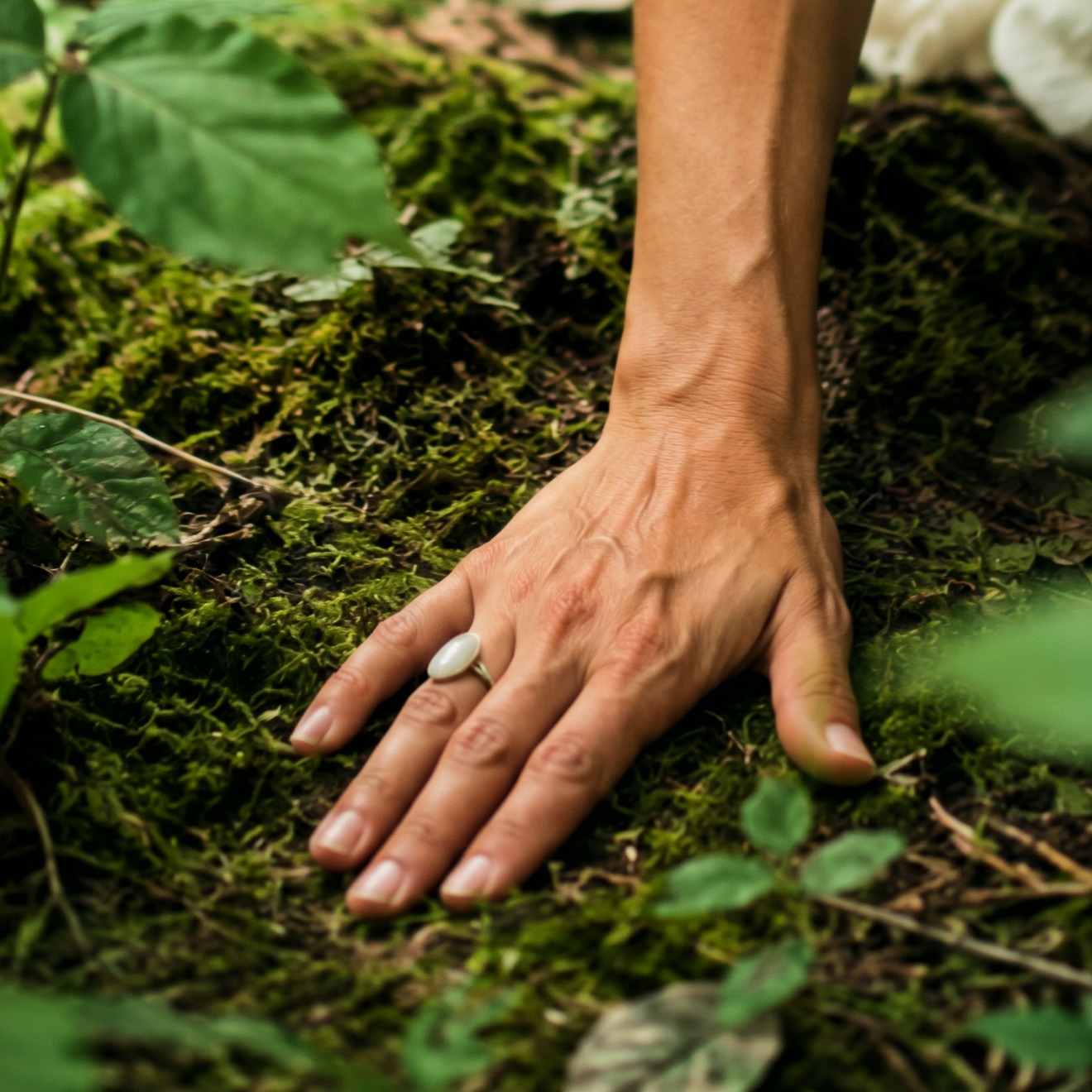 Hand auf Moos – Meine Einladung